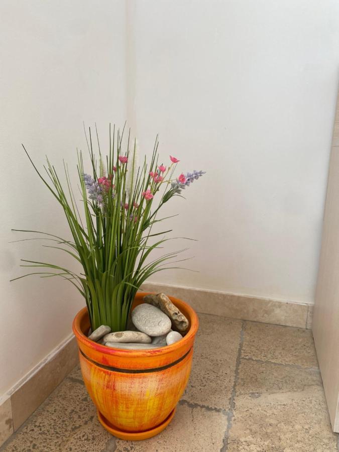 59 Kaliakria Seaview Luxury Apartment Topola Dış mekan fotoğraf
