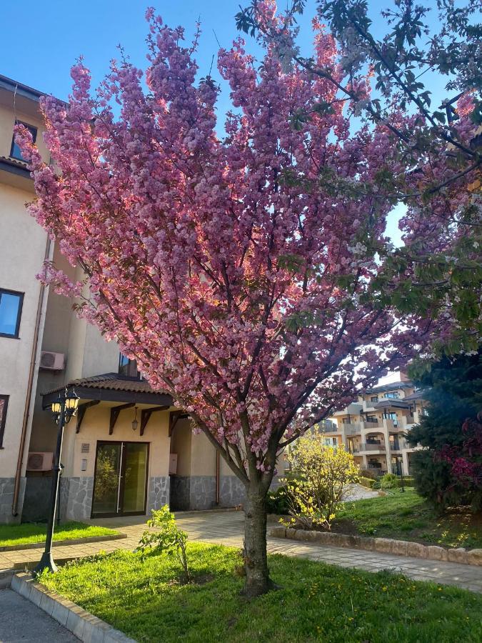 59 Kaliakria Seaview Luxury Apartment Topola Dış mekan fotoğraf