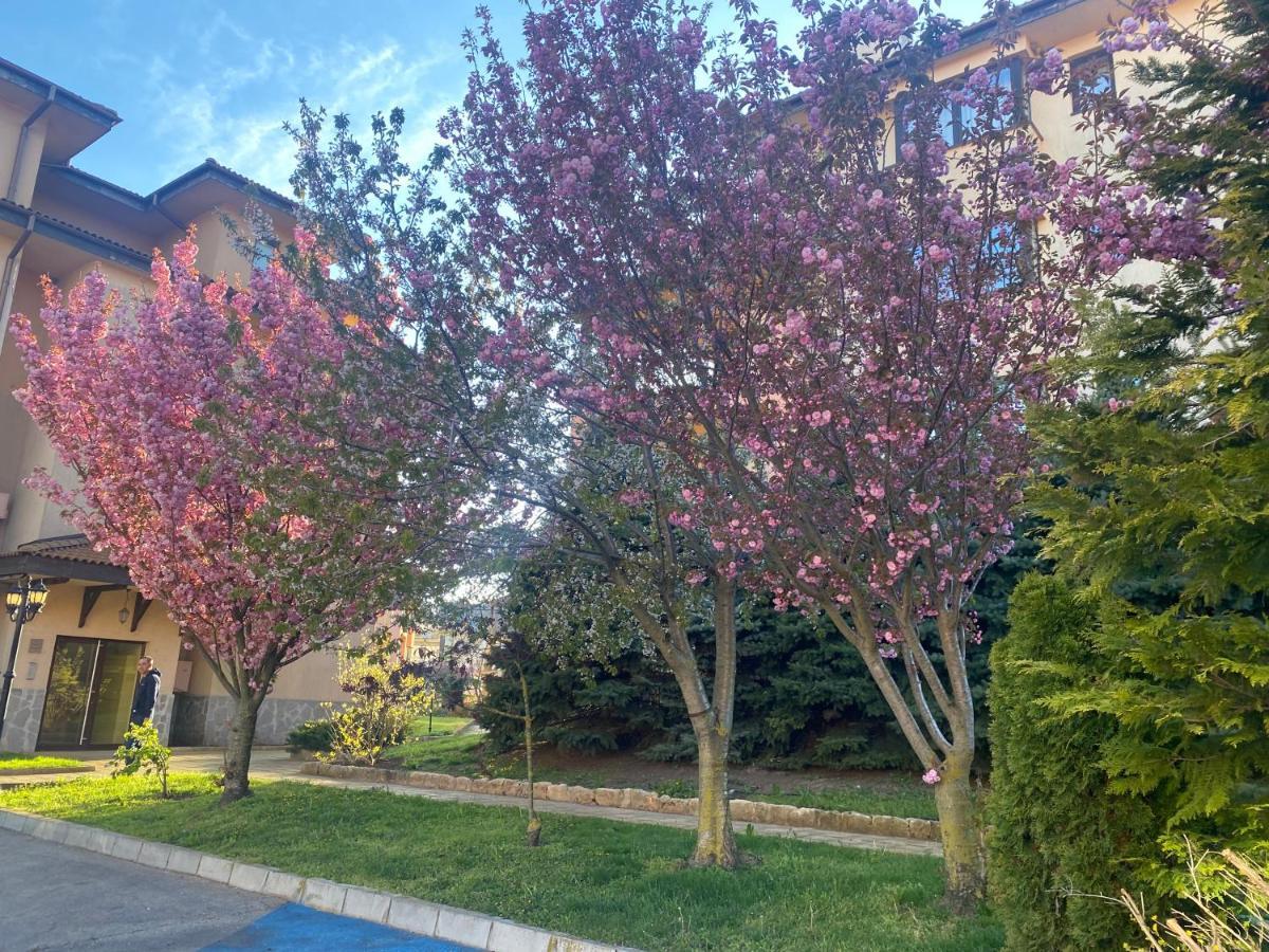 59 Kaliakria Seaview Luxury Apartment Topola Dış mekan fotoğraf